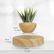 FLYSWITCH Magnetic Levitatng Plant Pot, Floating Plant Pot, Small Bonsai Pot for Succulent, Levitating Decoration for Home Office