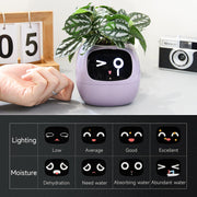 Masdio Smart Flowerpots, with Artificial Intelligence, Time Temperature Display, and Numerous Expressive Animations Based On The Environment, for Indoor Decoration, Gifts(Yellow)